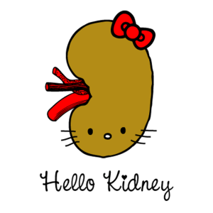 hello_kidney