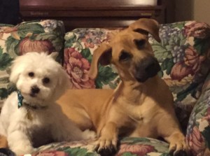 Best Friends? Not really.