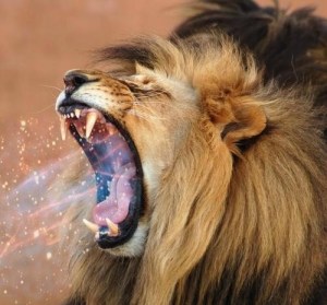 lions breath