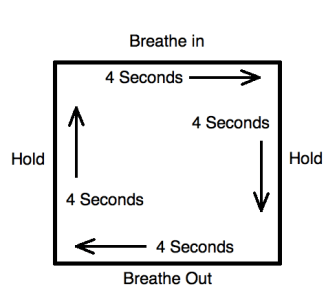 Screen Shot 2015-12-29 at 1.06.29 PM